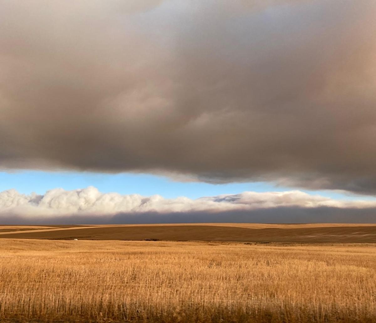 Un cielo lleno de humo con un sol detrás de las nubes de humo en el horizonte.