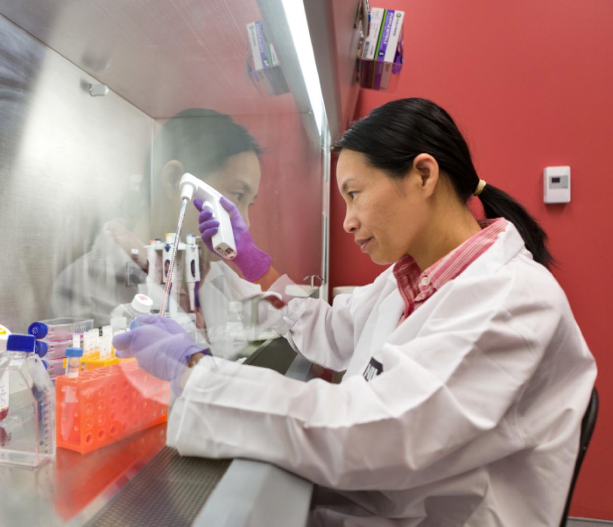 a scientist uses a pipette under a fume hood