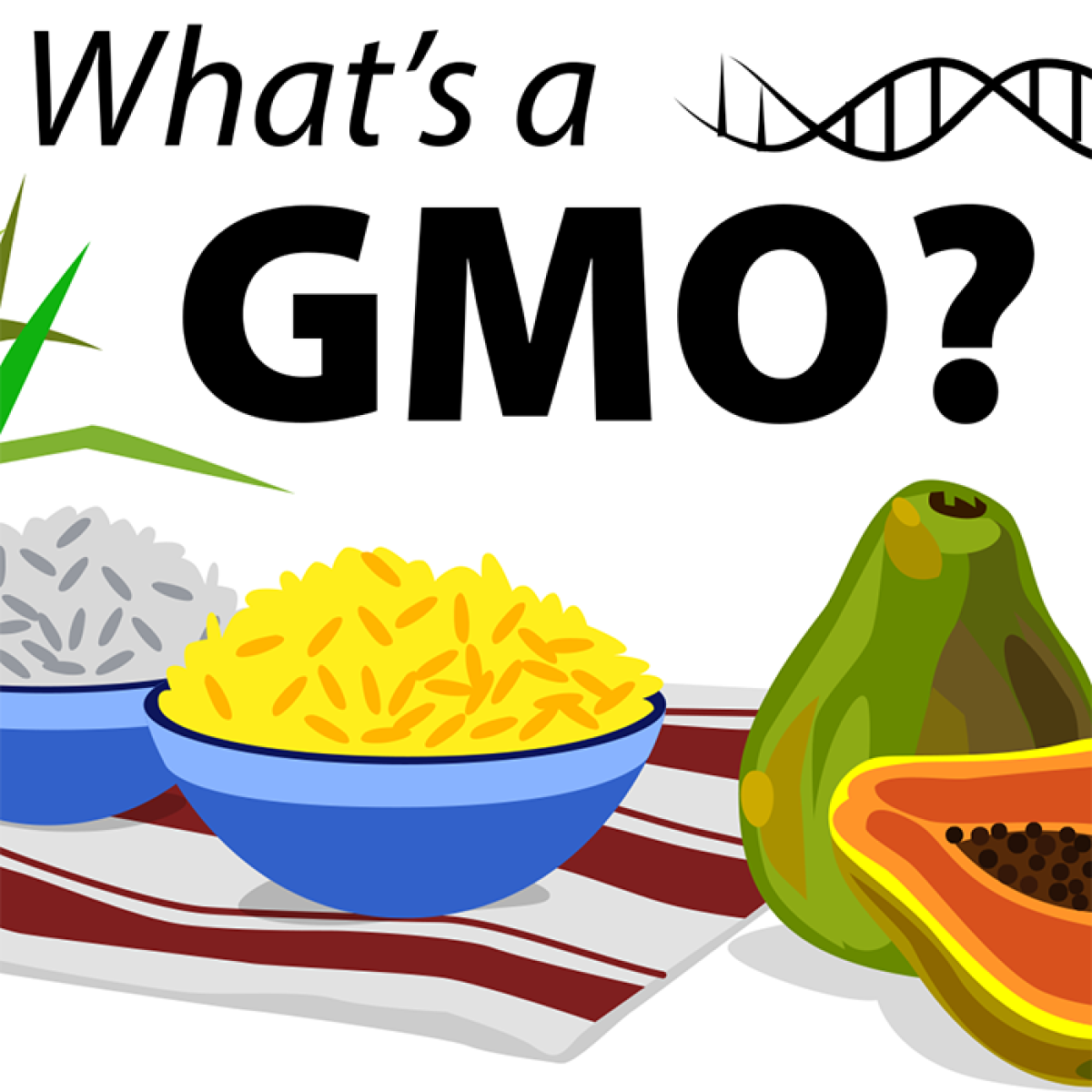 What's a GMO?