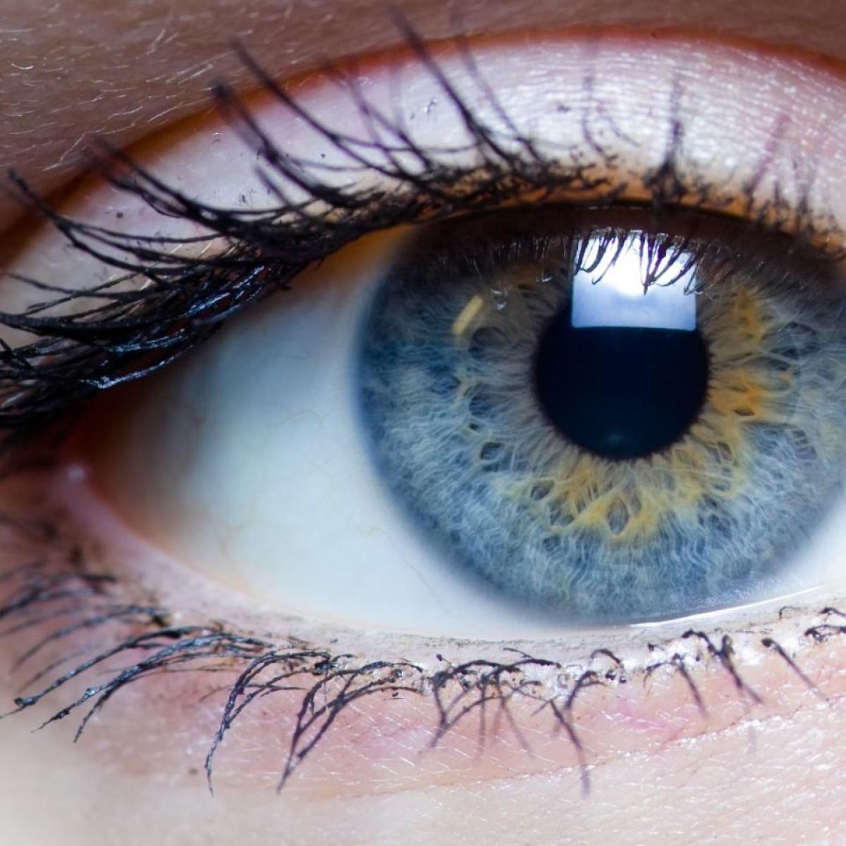 human iris upclose