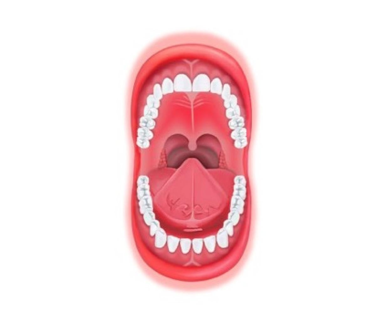 Human mouth