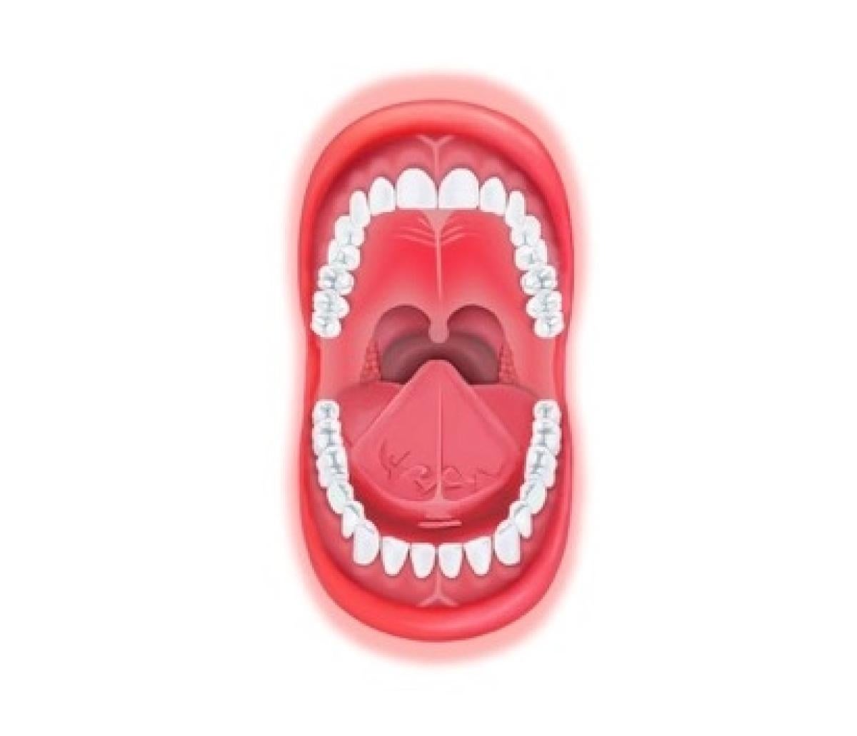 human mouth