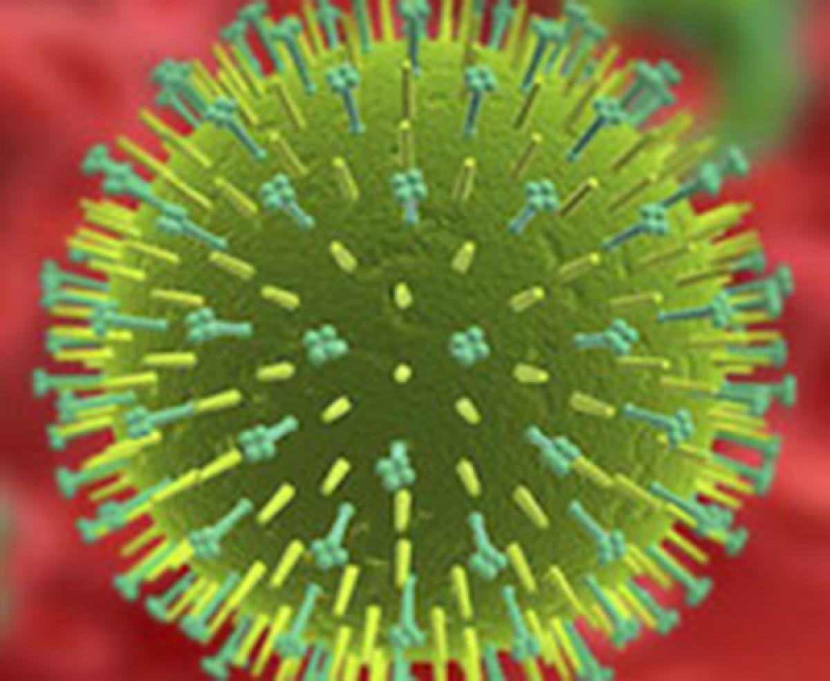 Influenza Virus