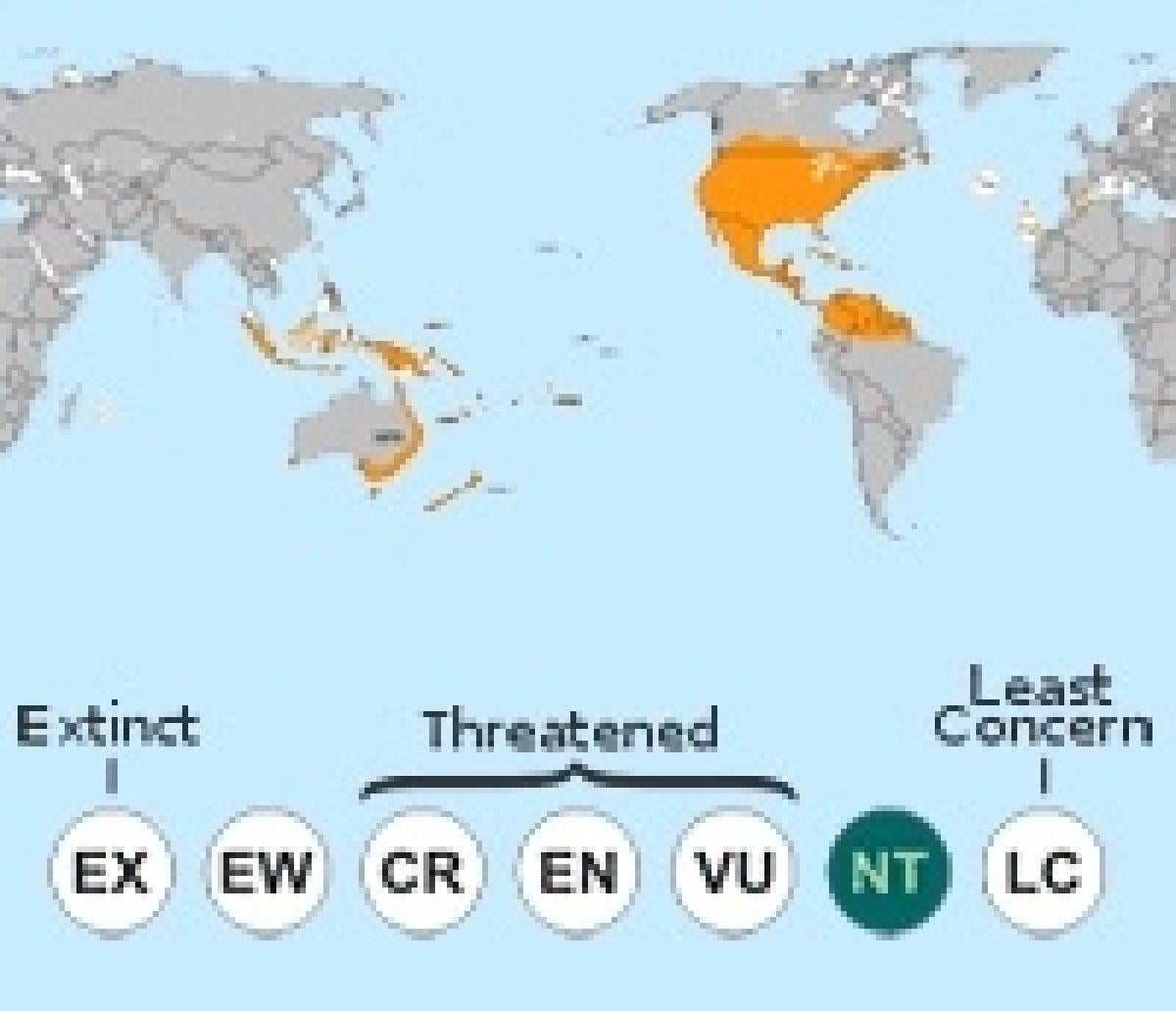 Map of monarch butterfly range