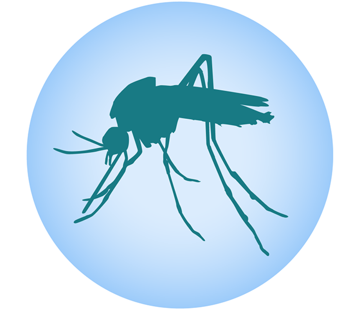 an illustration of a mosquito silhouette