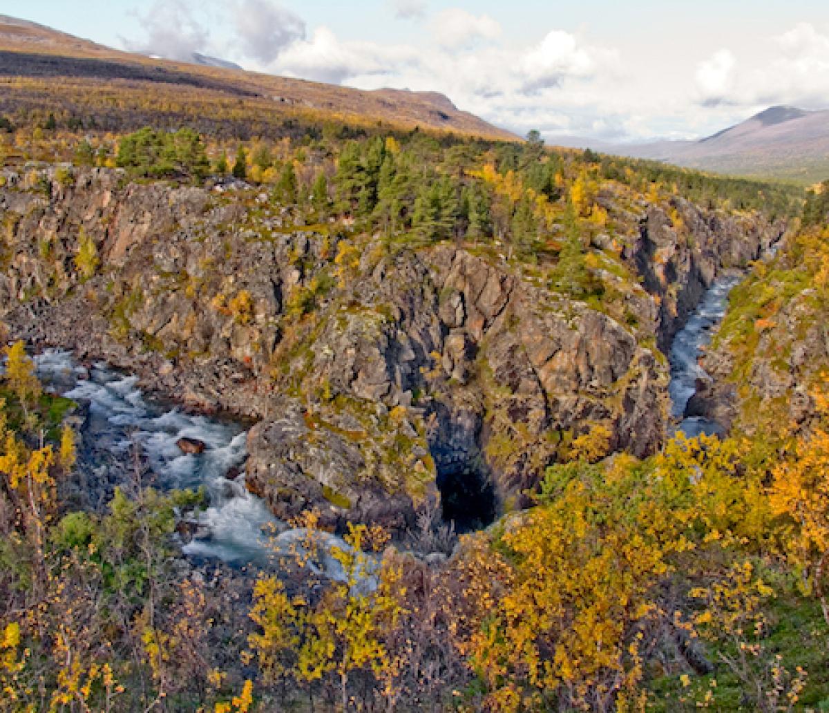 Taiga na Noruega