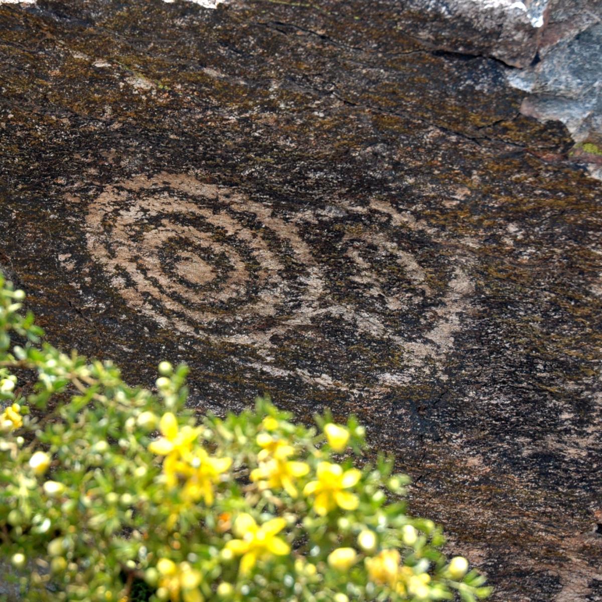 Petroglyphs South Mountain