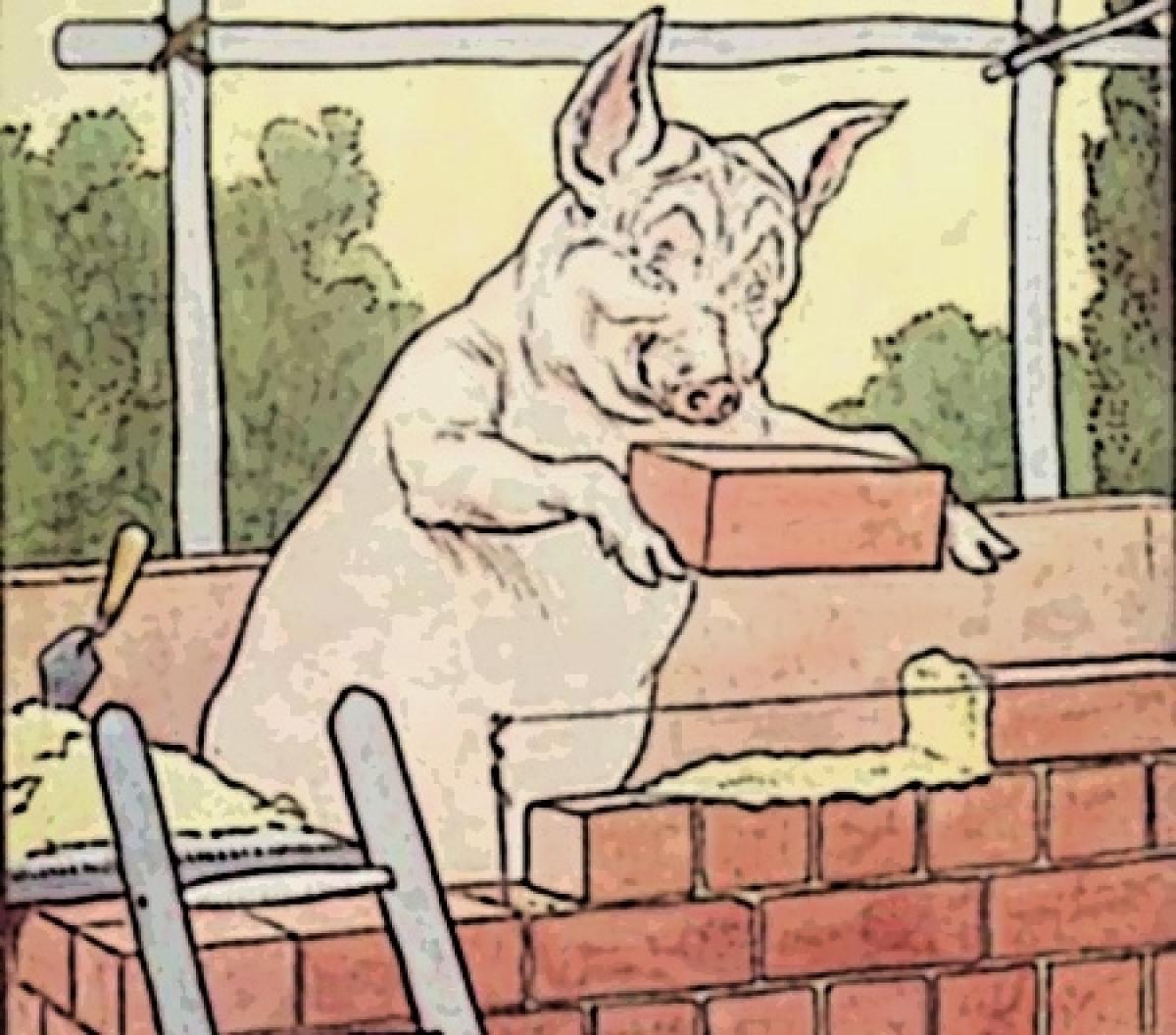 pig building wall