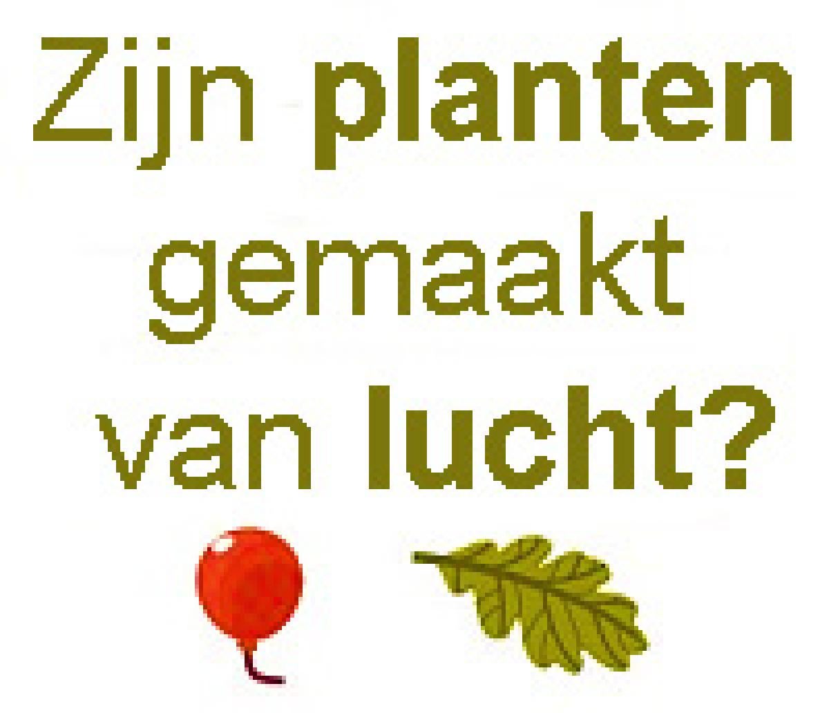 plants infographic goldbox dutch