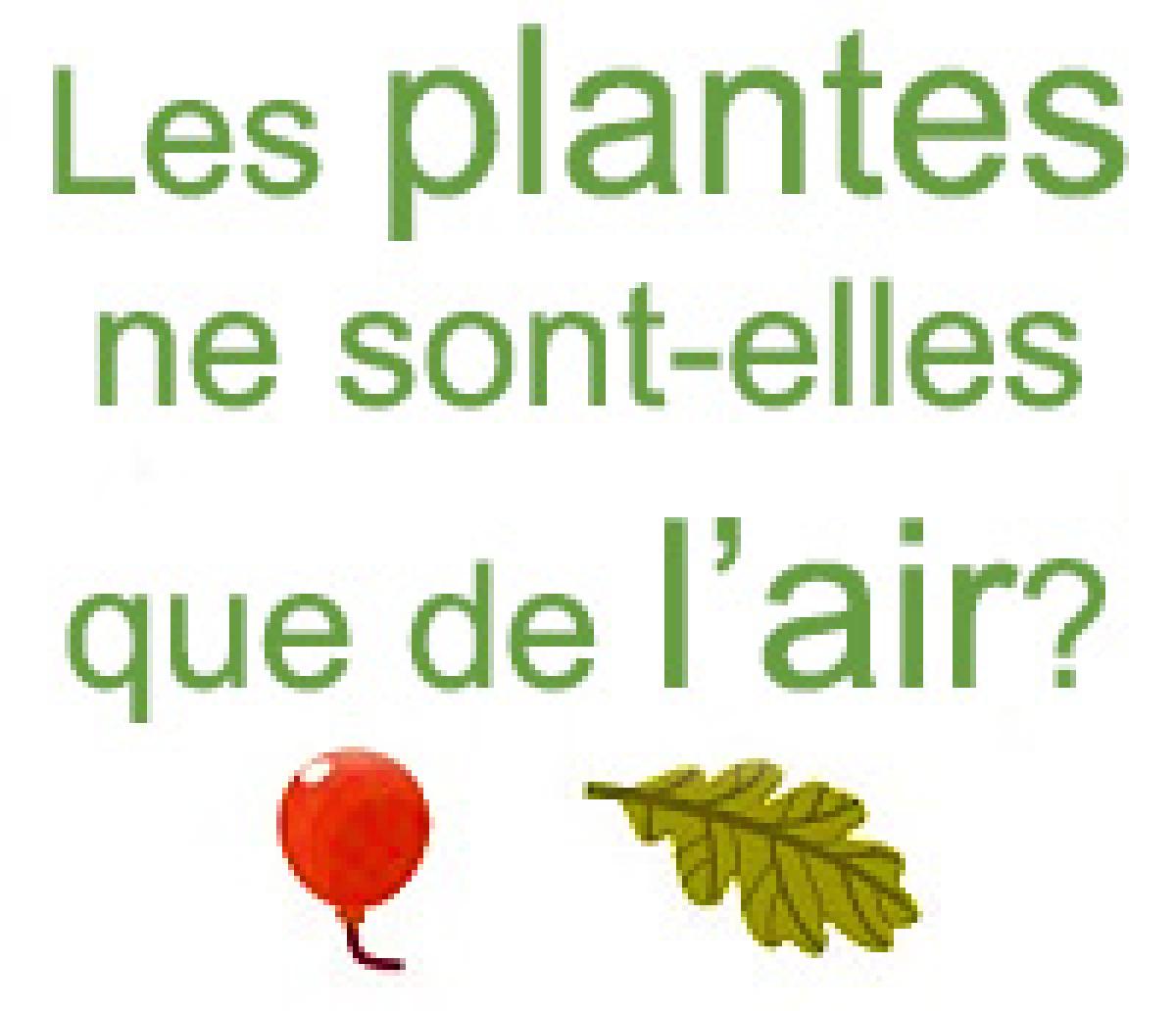 les plantes ne sont-elles que de l'air?