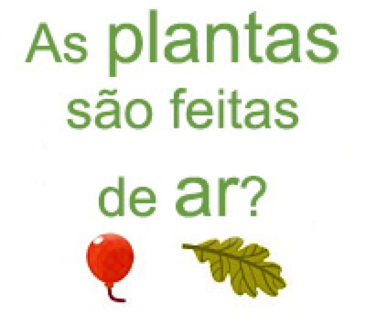 as plantas sao feitas de ar?