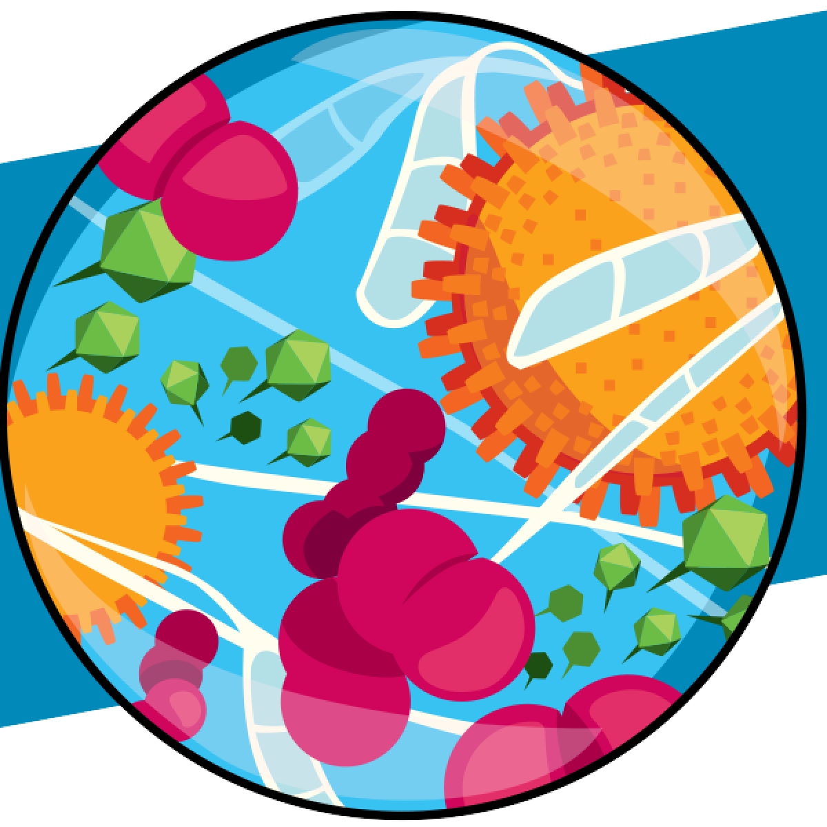 Microorganisms and pathogens