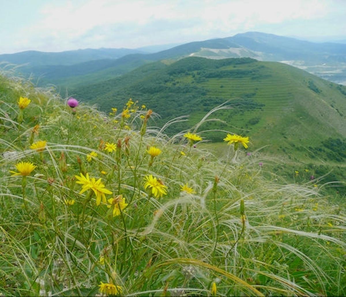 russian steppe