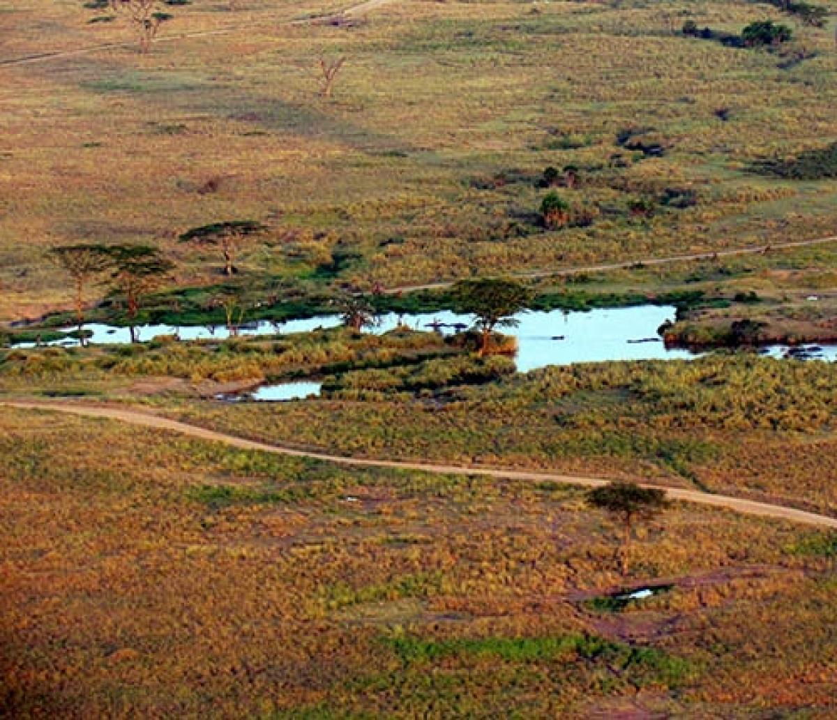 agua en el serengeti