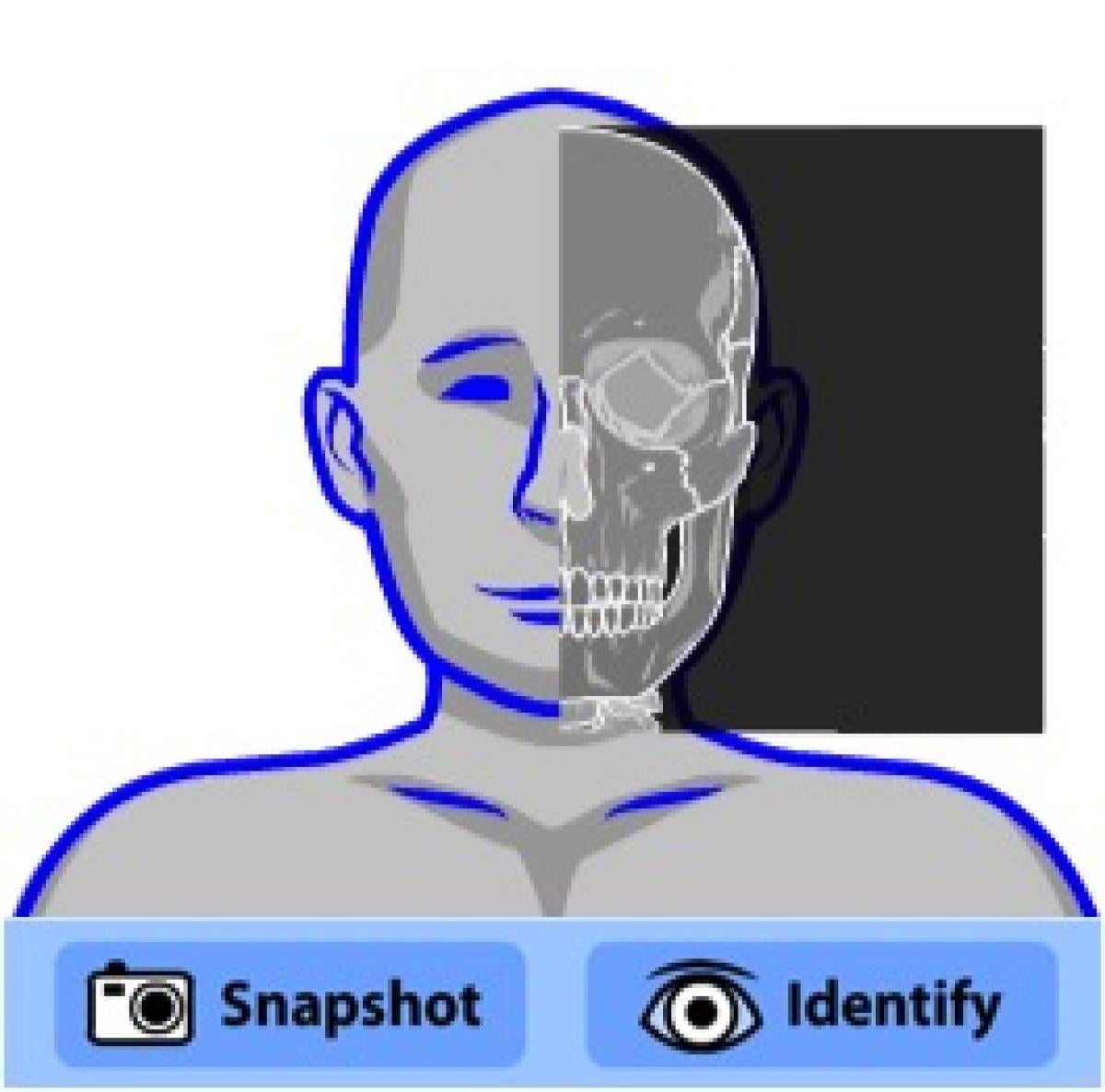 skeleton-viewer