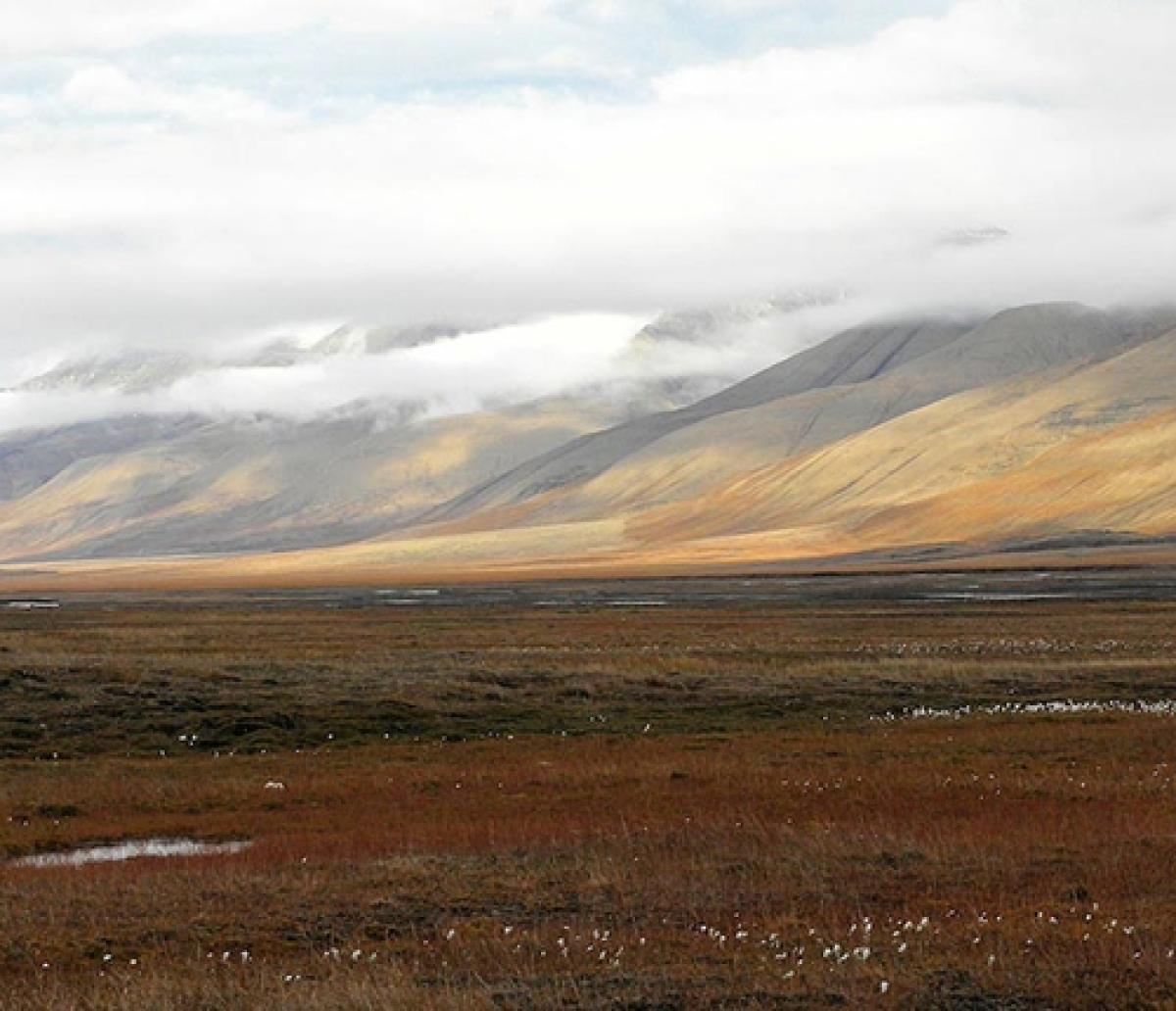 sloping tundra