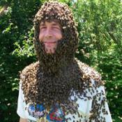 Smith with bee beard