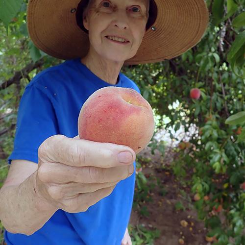 Julie Stromberg offering a peach