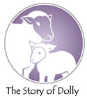 the 
				story of dolly